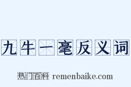 九牛一毫反义词是什么意思的图片